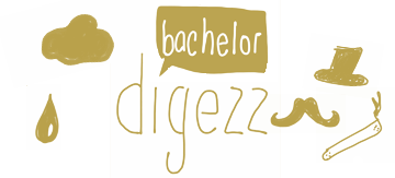 Eine Logovariante von digezz