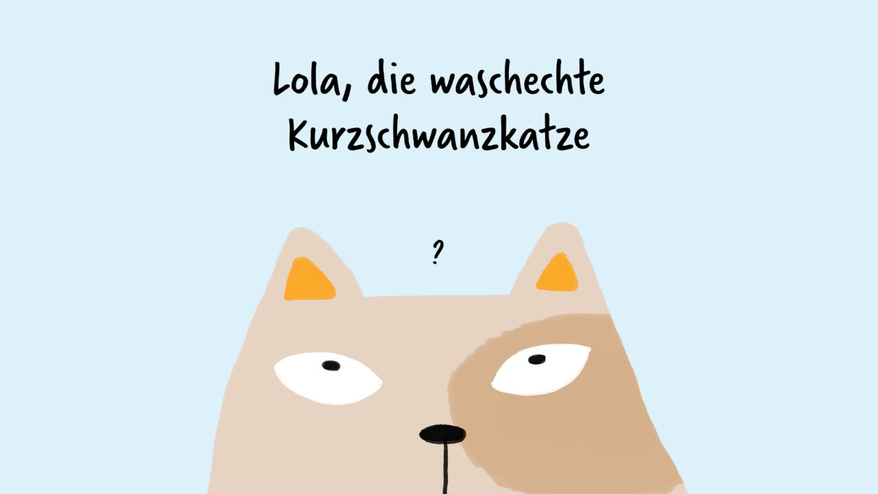 Buch der Schweizer Sprichwörter Digezz