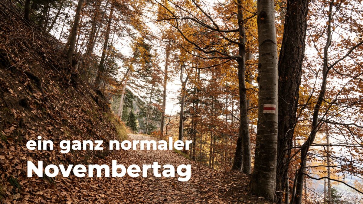 Thumbnail Novembertag