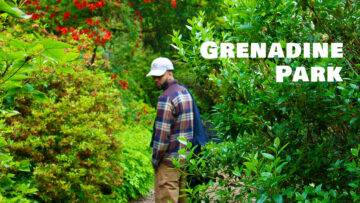 Thumbnail Grenadine Park
