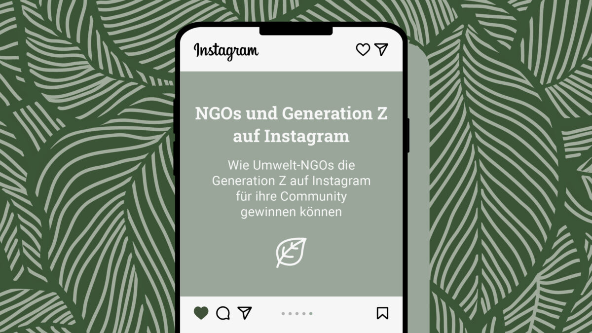 NGOs und Generation Z auf Instagram