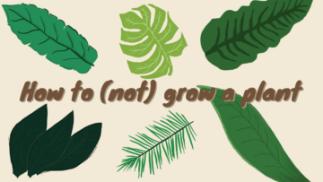 Beitragsbild, How to not grow a plant