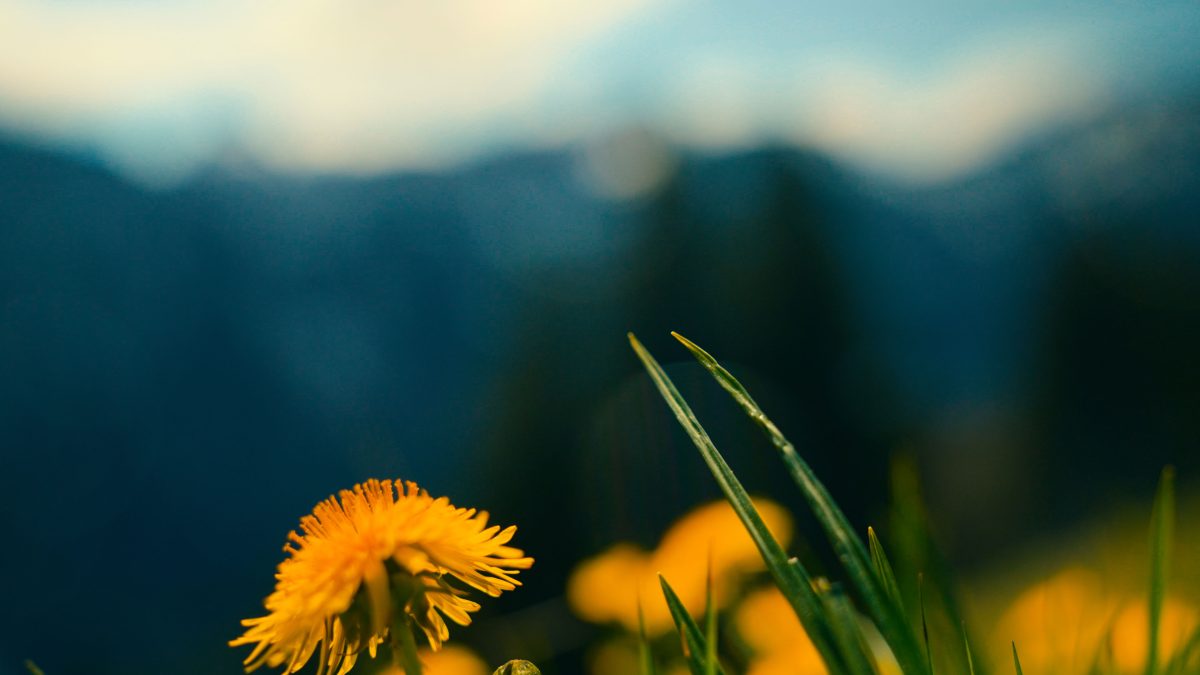 Unwind Nature