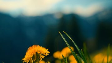 Unwind Nature