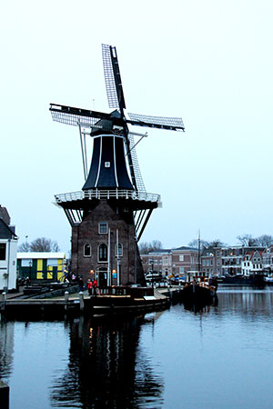 Artikelbild 4