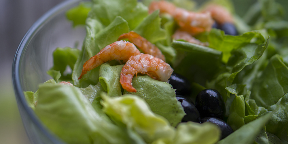 Bilderheader Shrimp Salat