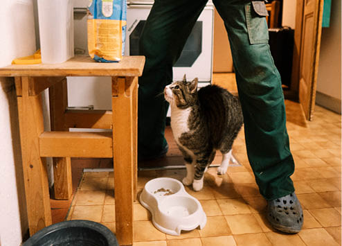 Reportage junge Menschen in der Landwirtschaft