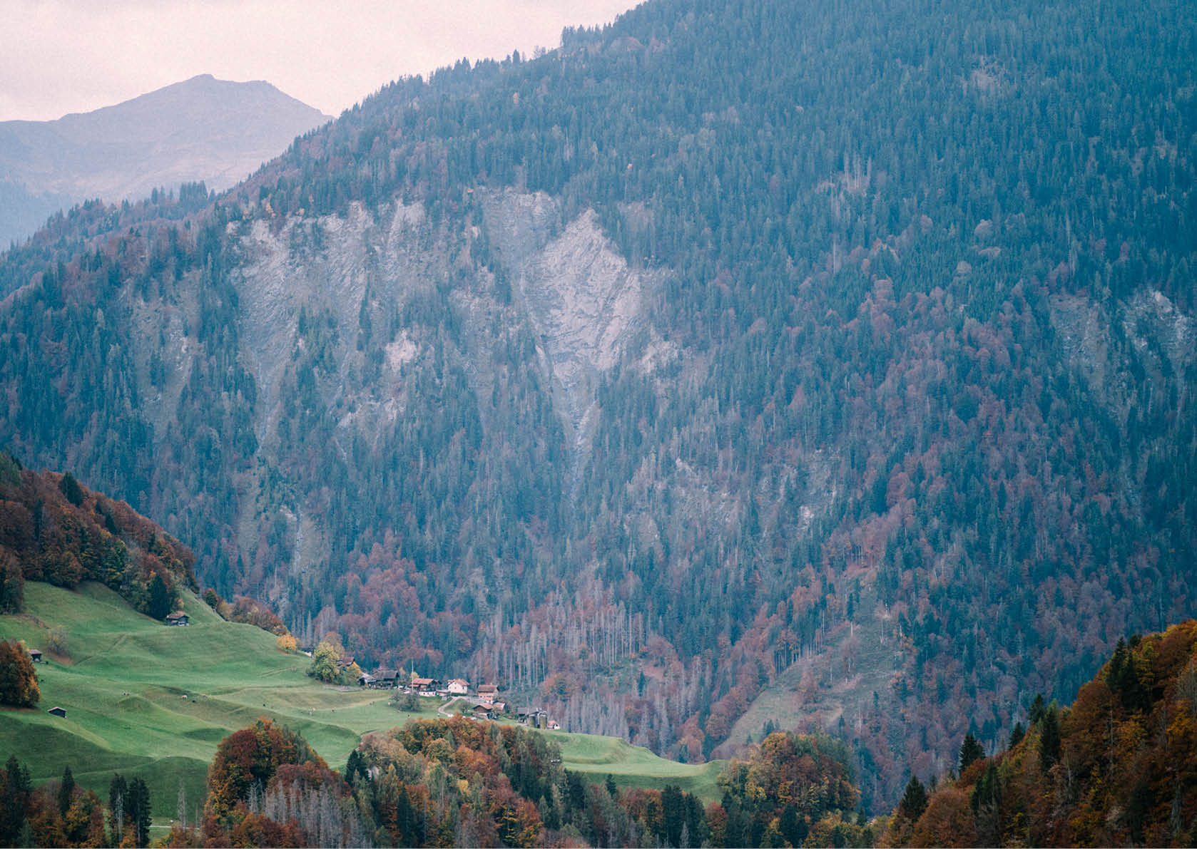 Reportage junge Menschen in der Landwirtschaft