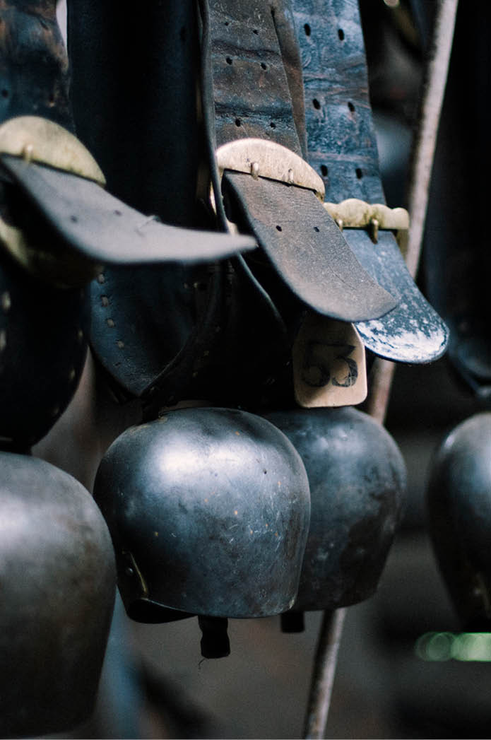 Reportage junge Menschen in der Landwirtschaft