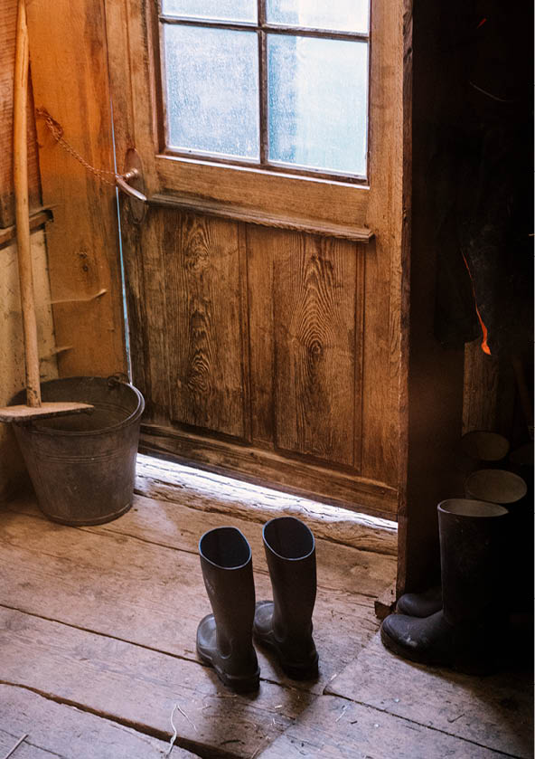 Reportage junge Menschen in der Landwirtschaft