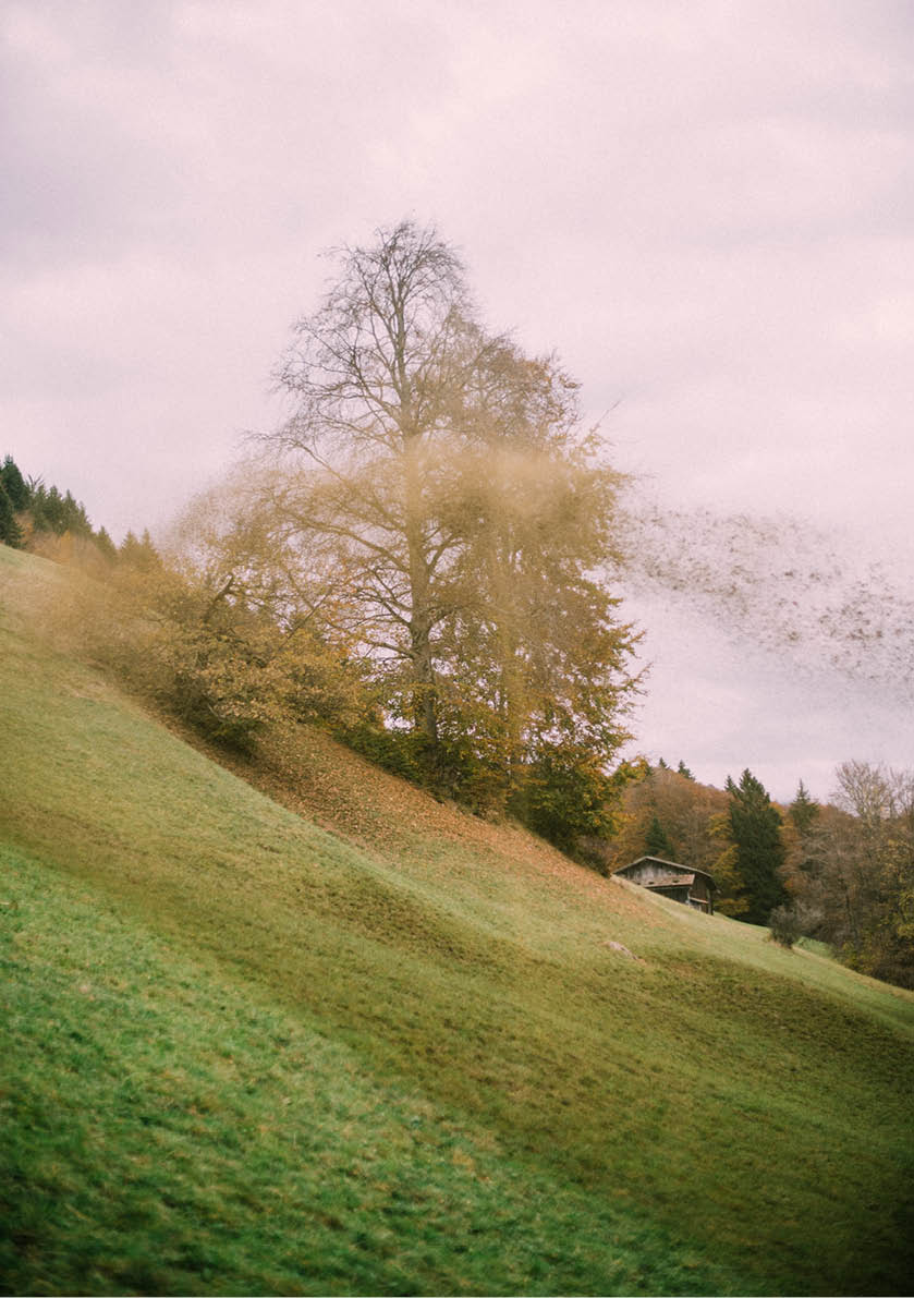 Reportage junge Menschen in der Landwirtschaft