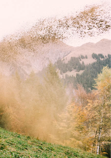 Reportage junge Menschen in der Landwirtschaft