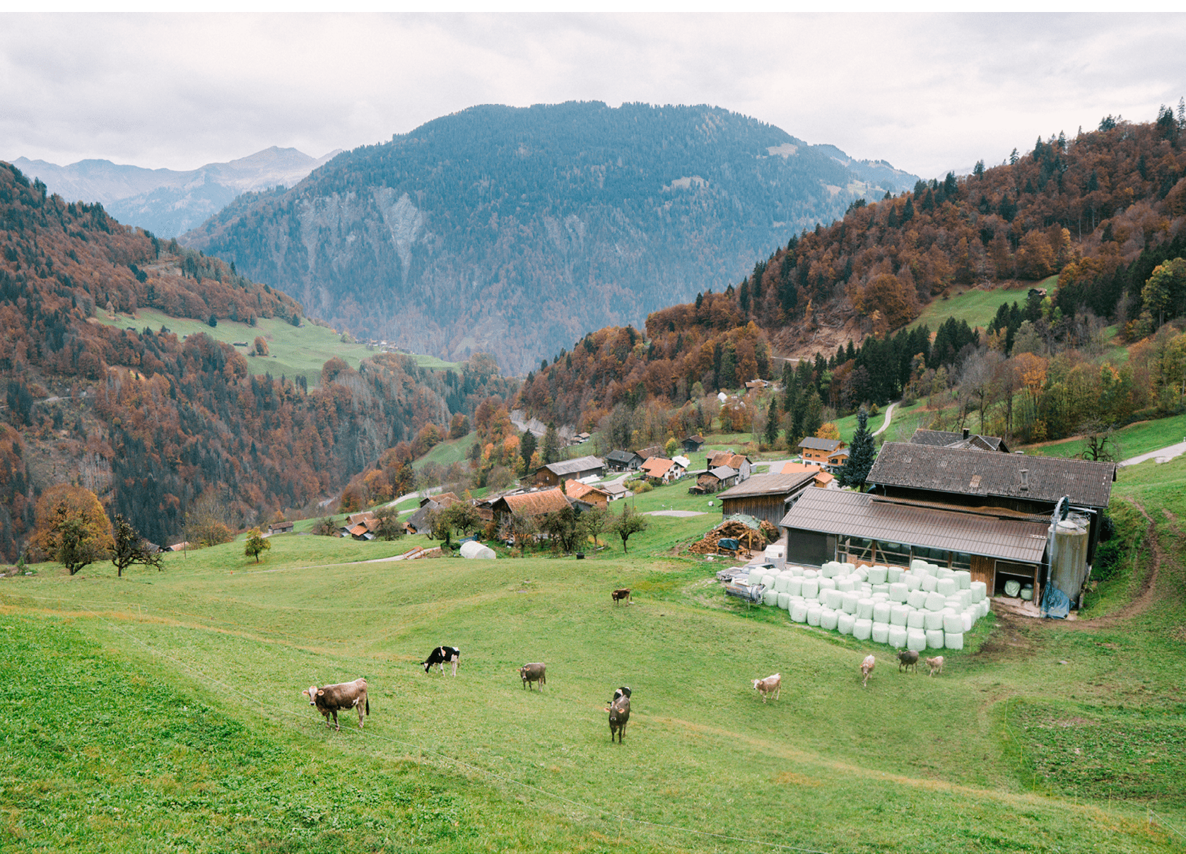 Reportage junge Menschen in der Landwirtschaft