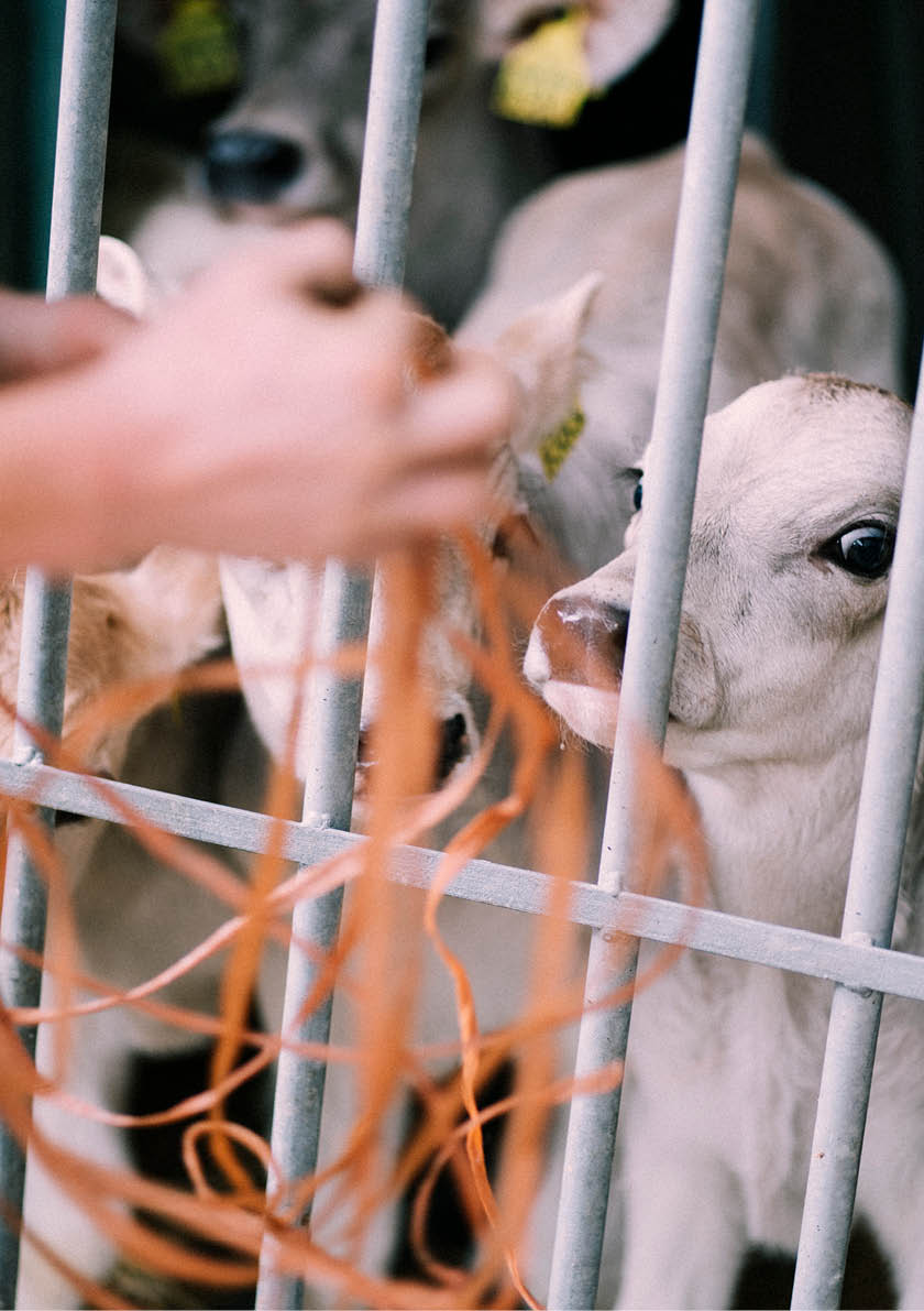 Reportage junge Menschen in der Landwirtschaft