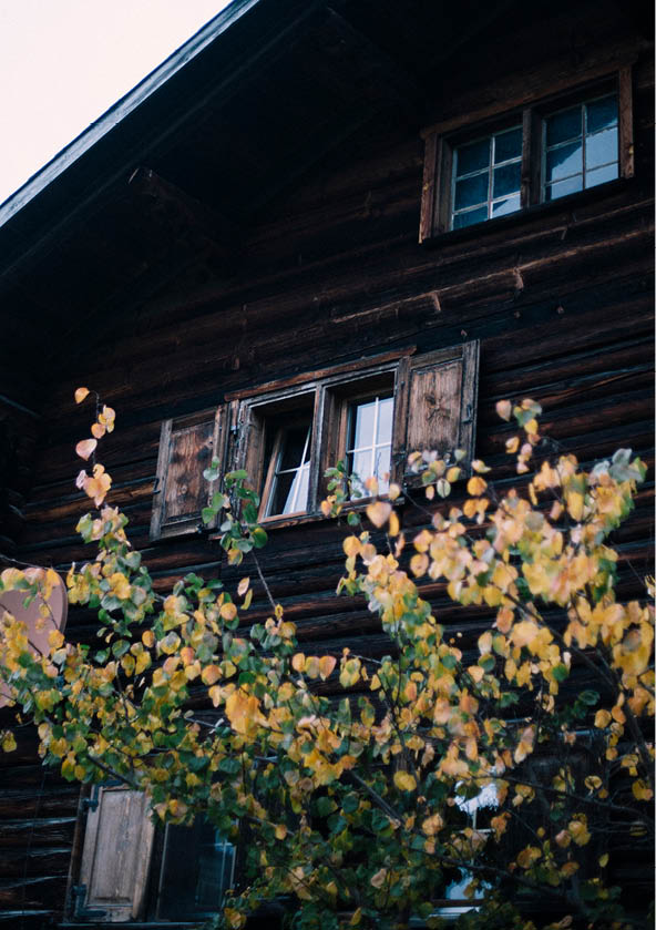 Reportage junge Menschen in der Landwirtschaft