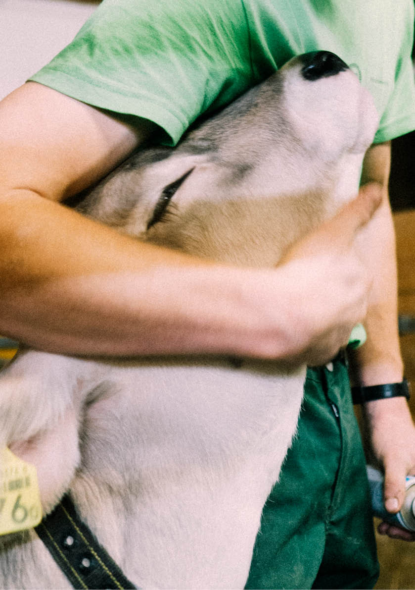 Reportage junge Menschen in der Landwirtschaft