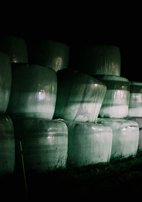 Reportage junge Menschen in der Landwirtschaft