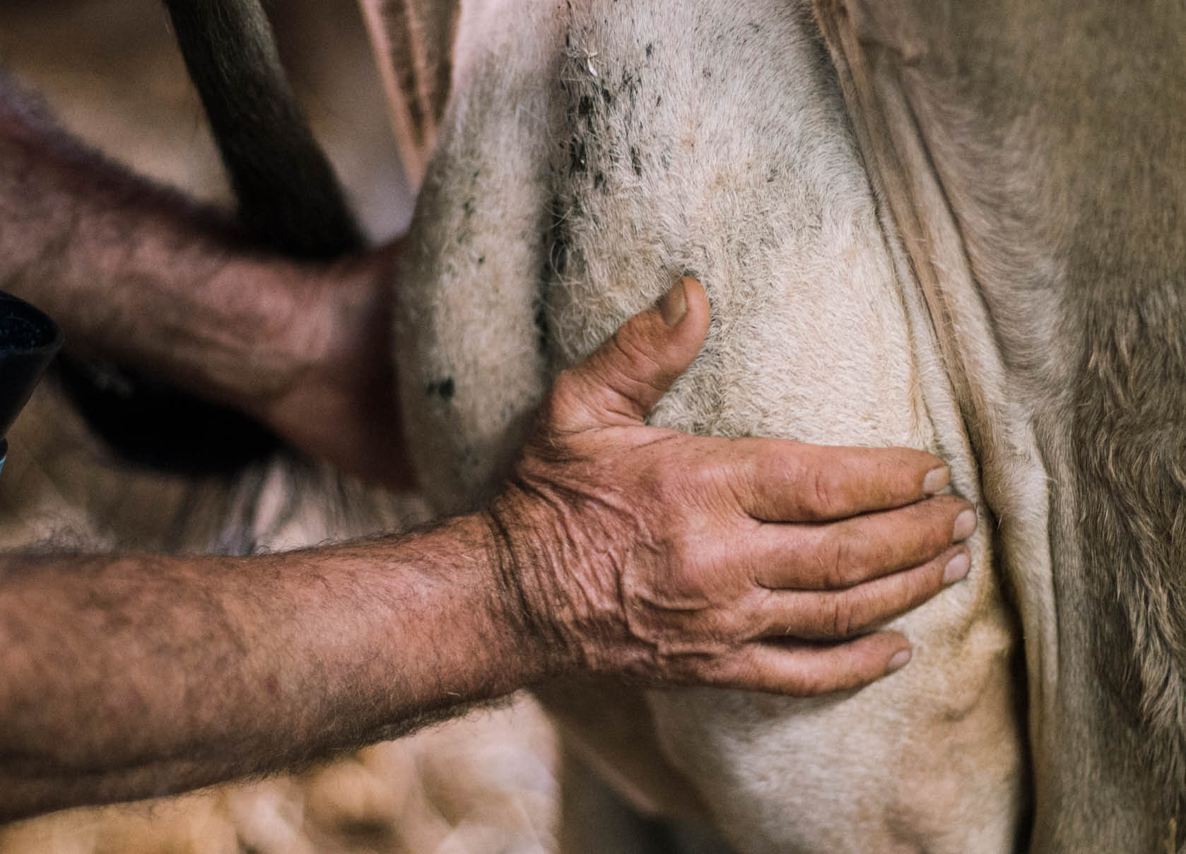 Reportage junge Menschen in der Landwirtschaft