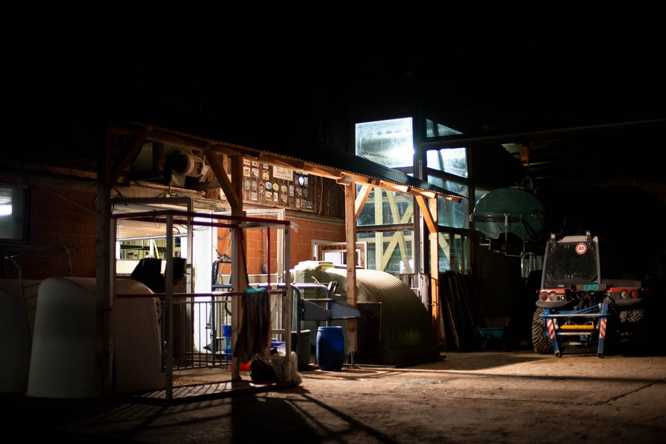 Reportage junge Menschen in der Landwirtschaft