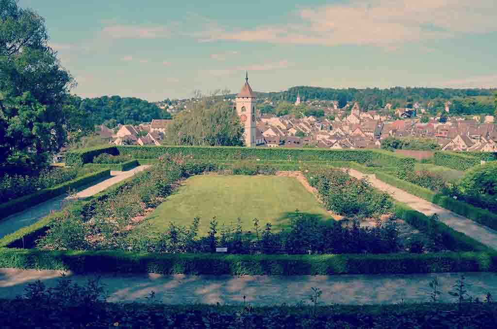Rosengarten Schaffhausen