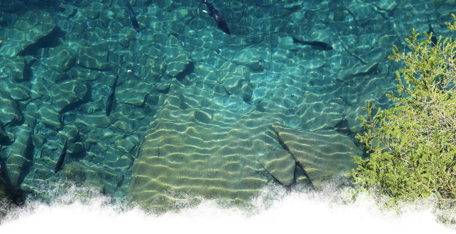 Blausee